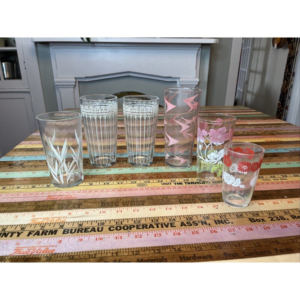Vintage Floral Drinking Glass Lot of 6 Vintage Retro 60s MCM Tumblers Flowers